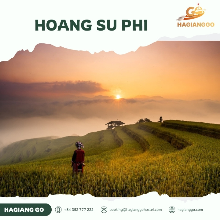 Hoang Su Phi Discovery: The Ultimate Travel Guide to Ha Giang's Hidden Paradise